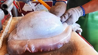 Cutting cuttlefish alive to sashimi in 3 minutes - Taiwan seafood market