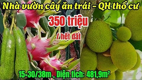 Nhà vườn cây ăn trái,  mặt tiền nhựa thông, KDC đông, gần tiện ích,  15×30/37m Diện tích: 481,9m²