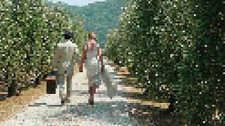 Create 8 bit and Pixel Art Effects with Universe AV Club