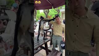 Crazy epic fails 😂😂 😂 #shorts #memes #fails #funnymoments