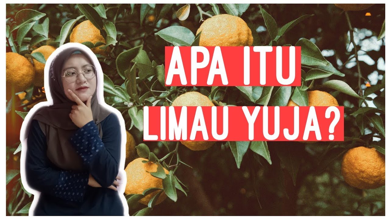 TBH034 STORY TIME APA ITU LIMAU YUJA? | CITRUS KOREA ...
