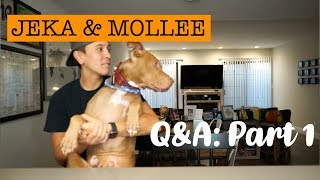 HOW WE MET Q&A Details