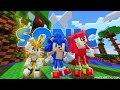 skin pack do Sonic
