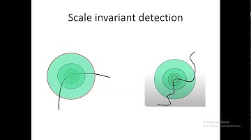 Scale Invariant Detector