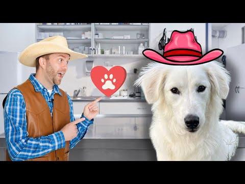 Animal Fun with Cowboy Jack!