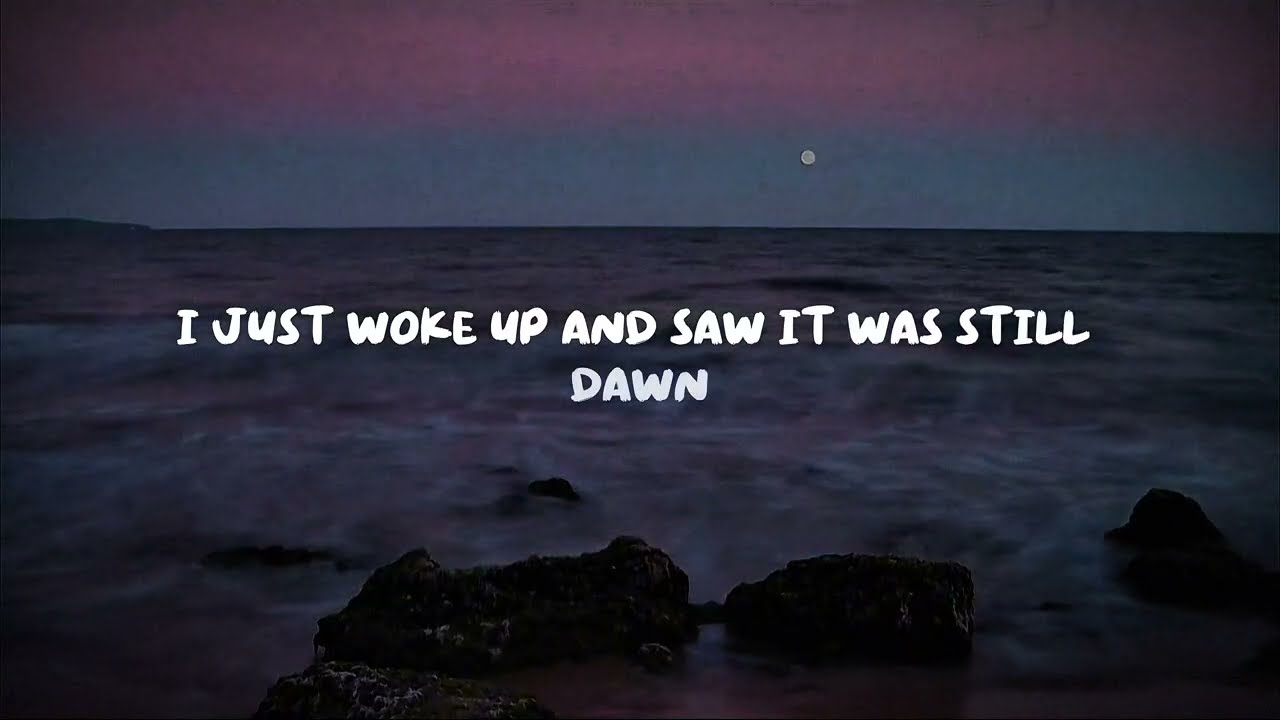 tavø - moonlight (lyric video)