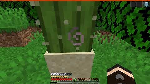 Armventure 1.16.1 Forge Mod Overview