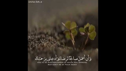 حالات واتس اب للقارئ :إسلام صبحي (حتى إذا أتو على وادي النمل)