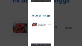 Contoh Foto Sederhana Yang Laku Di Shutterstock - Foto Ngasal 😅😅😅 | #shorts #shutterstock