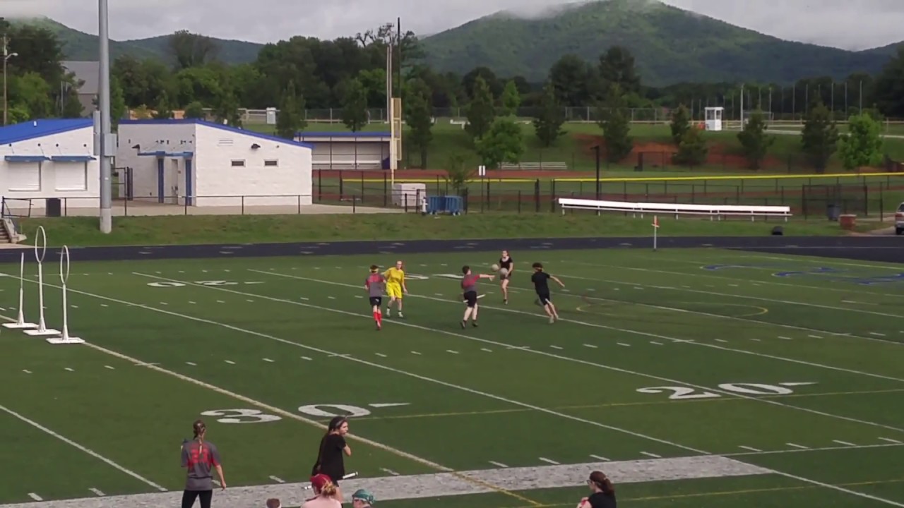 The Golden Snitch Getting Caught In A Live Quidditch Match