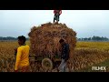 Fields of paddywhack farmer agriculture equipment power tiller video modern technology agriculture