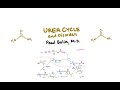 Disorders of the Urea Cycle - CRASH! Medical Review Series