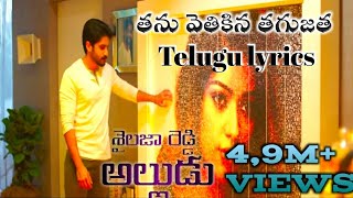 Thanu vethikina thagu jatha nuvvenani full video song telug lyrics shailaja Reddy Alludu