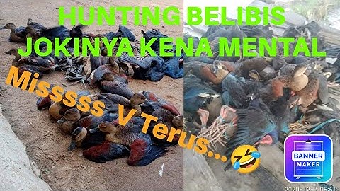 Nembak Belibis Jokinya Kena MentaL....