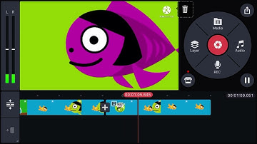 How to make preview 2 effects KineMaster and megaphoto