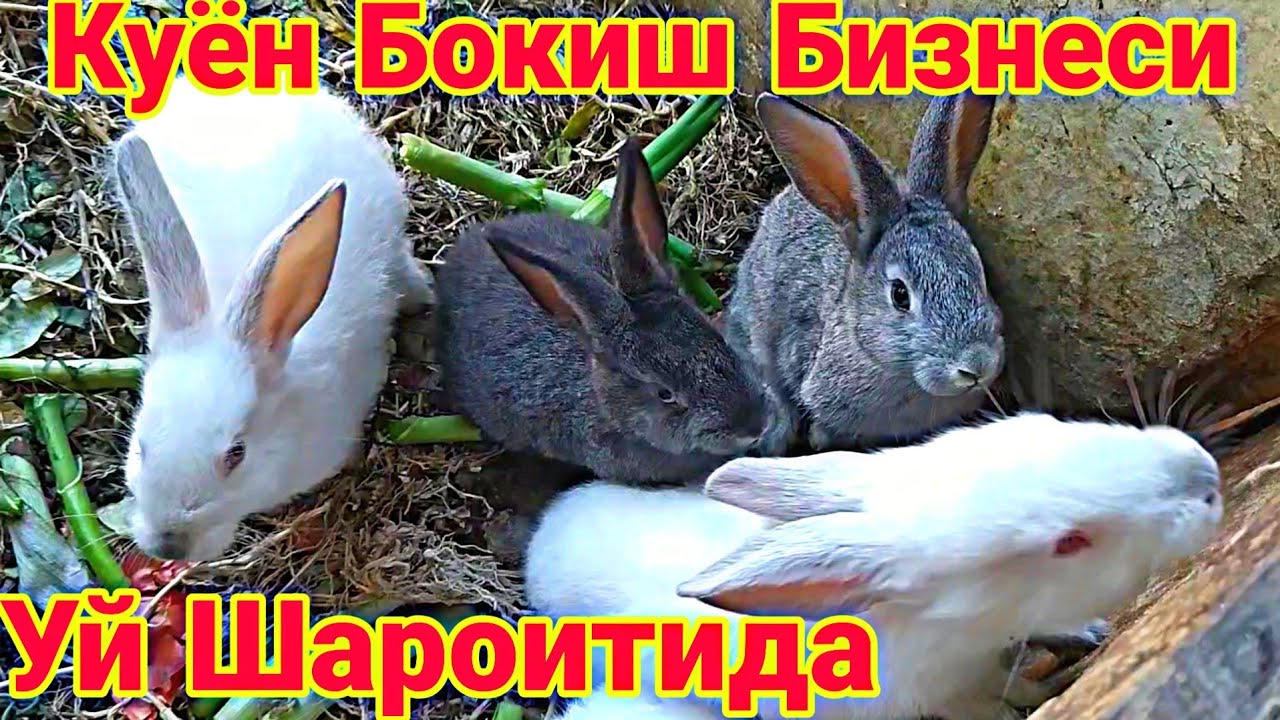 #КАРАНТИНДА