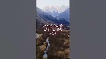 تلاوة جميلة للشيخ ياسر الدوسري#اسلام#yasseraldossary#قران_كريم#راحة_نفسية #ياسر_الدوسري#quran #coran
