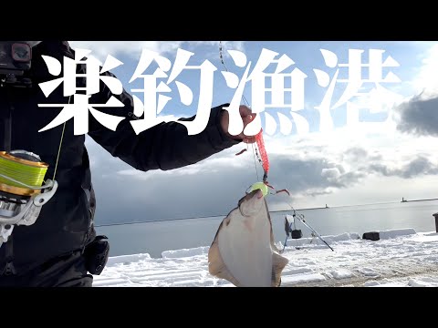 北海道の漁港で良型のホッケとカレイが連発している様子。