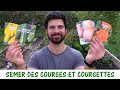 SEMER DES COURGES, COURGETTES / et autres cucurbitacées