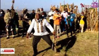 INyosi Buzetsheni Mdletshe ugcina uMlando weNgonyama Zwelithini