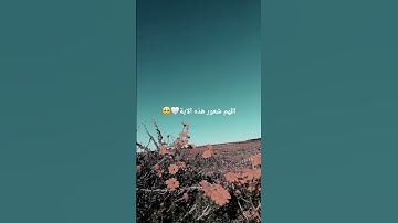 #تلاوة_مؤثرة #تلاوة_خاشعة #إسلام_صبحي #حالات_واتساب #حالات #صوت_يريح_القلب #صلوا_علي_النبي #قرآن