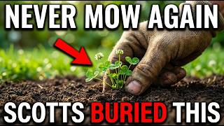The BANNED Lawn care Method That Eliminates Mowing Forever