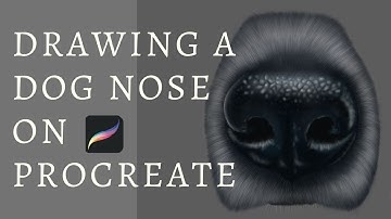 Drawing a dog’s nose in Procreate | Time lapse Procreate tutorial