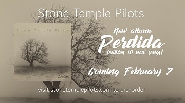 Stone Temple Pilots - Fare Thee Well (Lyric Video)