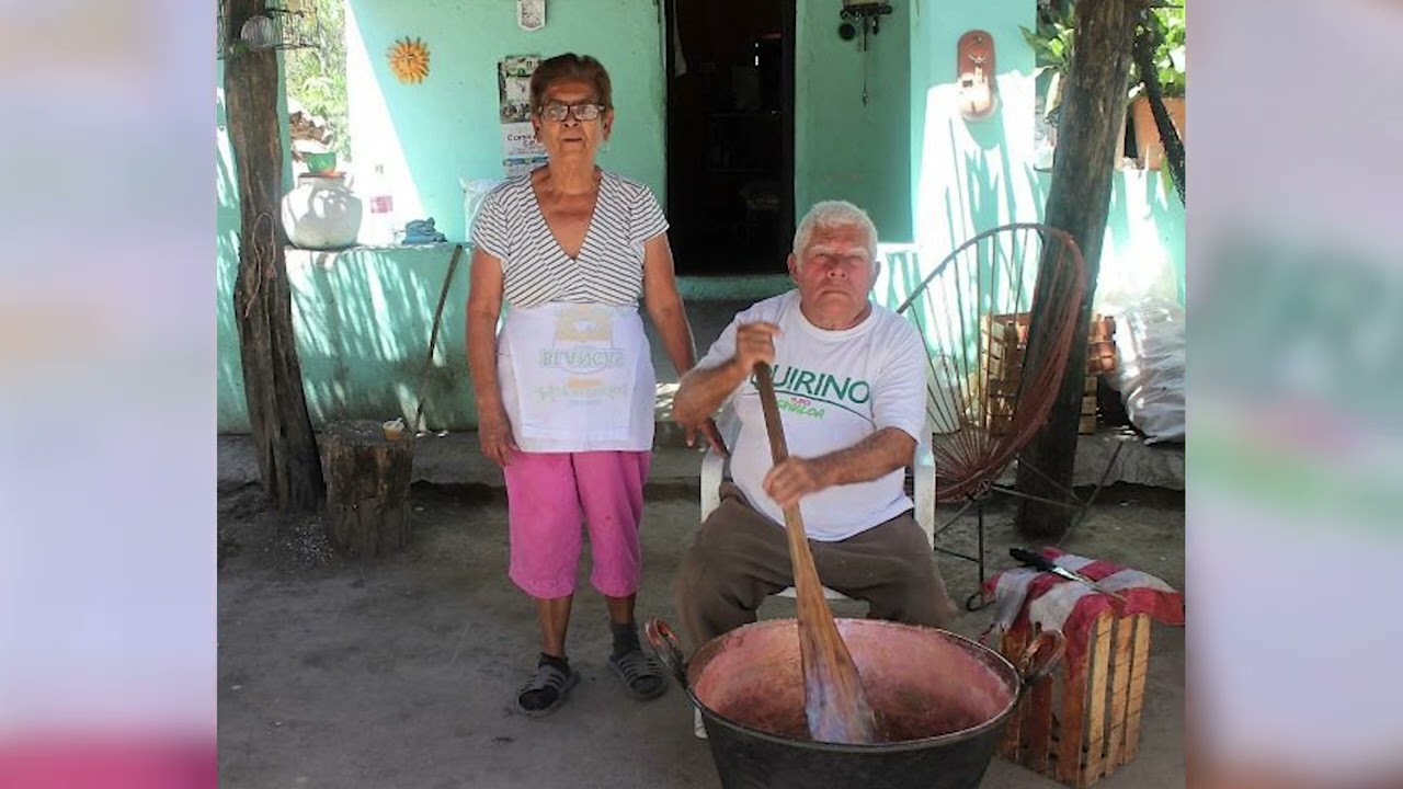 SEGUNDA PARTE DE LA CRÓNICA DE UN VIAJE A MAZATLÁN Y SAN IGNACIO