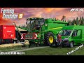 Big harvest with MrsTheCamPeR | Animals on Ellerbach | Farming Simulator 19 | Episode 44