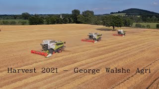 Harvest 2021 - George Walshe Agri - 3 Brand New Claas Combines (HD)