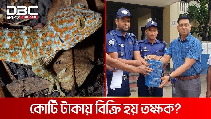 Porno kino ginekologik tekshiruv