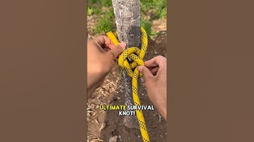 The ONLY Knot You’ll Ever Need in Survival! 🔥#knot #technique #rope #interesting #knowledge