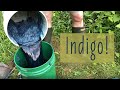 Indigo Series Part 2, Indigo Pigment Aqueous Extraction