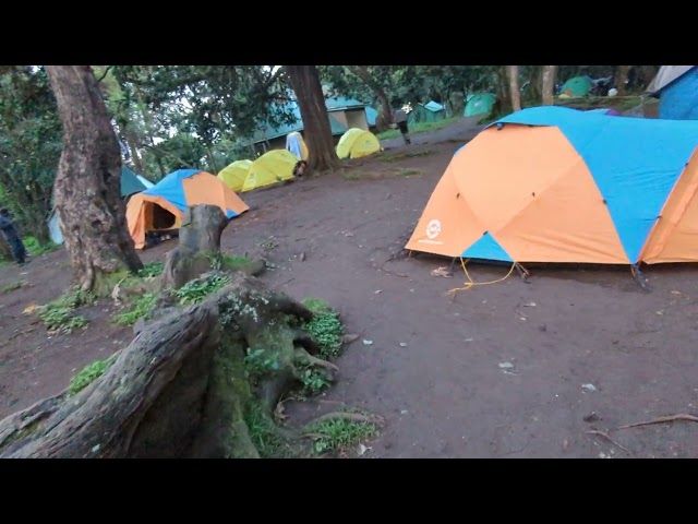 Kilimanjaro Forest camp with Uprise Africa Tours. what to expect class=