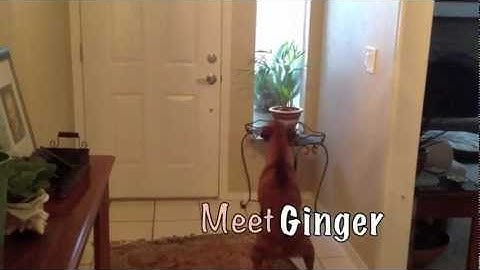 Behavior Change Project