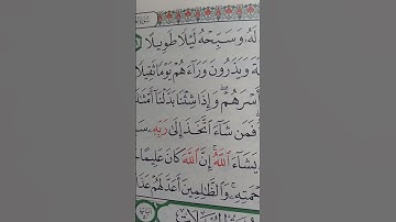 ما معنى كلمه "سبحه"#سورة #الانسان