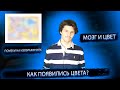 Почему мы видим цвета | История цветов | Цветовые помехи