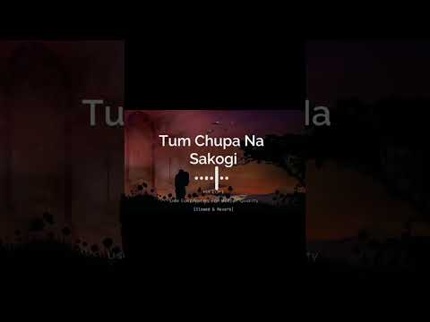 Tum Shupa Na Sakogi Song