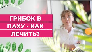 Грибок в паху-как лечить?