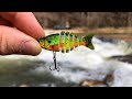 The SMALLEST Swimbait in The WORLD!!! (Tiny Lure CHALLENGE!)