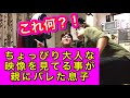 ちょっぴり大人な映像を見てる事が親にバレた息子
