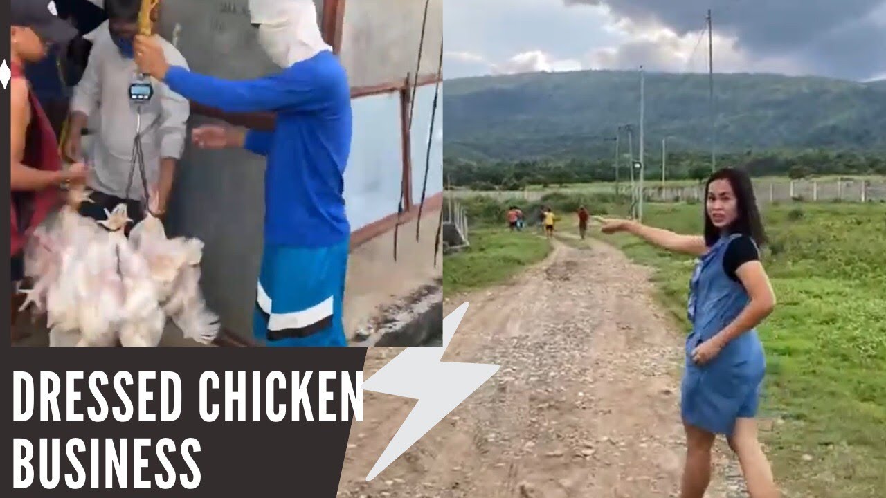 How profitable is Dressed chicken business our 1st trial to dress chicken/ part 27 YouTube