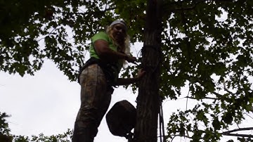 Tree stand safety  || using a lifeline