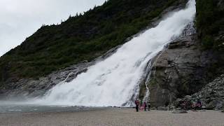 Allen Marine Tours Whale Watching in Juneau!