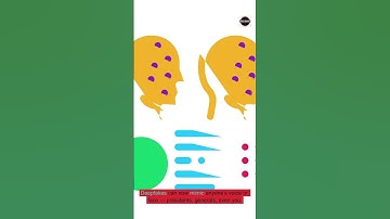 Can a Fake Video Really Start a War?