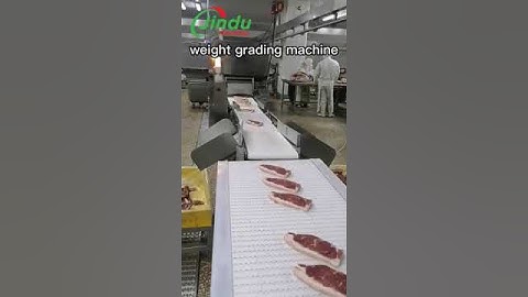 Meat Sorting Scale Equipment for Beef & Pork  #machine #gradingsystem
