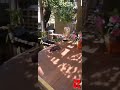 הערליכע איינגערישטע בית המדרש און ווייבער שוהל לכבוד שבועות הערליכע איינגערישטע בית המדרש און ווייבער שוהל לכבוד שבועות