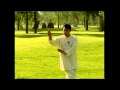 Yin baguazhang 8 rotating palms by wang shangzhi