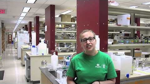 Team Alberta iGEM Promo for BBC